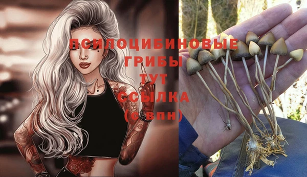кокаин колумбия Армянск
