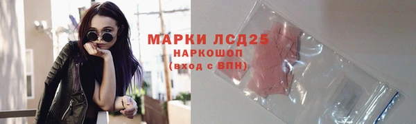 стаф Алзамай