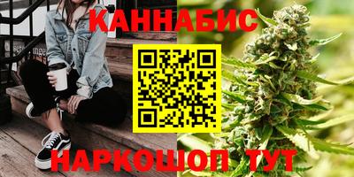 индика Бийск