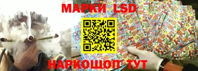 индика Бийск