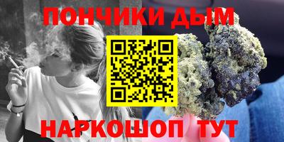 индика Бийск