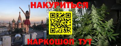индика Бийск